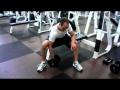 Concentration Curls (Dumbbell) Image