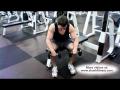 Reverse Wrist Curls (Dumbbell) Image