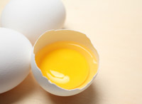 Protein in the Diet Image