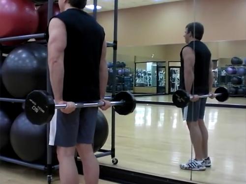 Behind-the-Back Wrist Curls (Barbell) Image