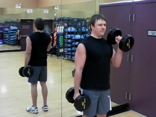 Hammer Curls Dumbbell Image