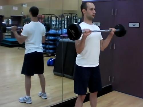 Reverse Curls (Barbell) Image
