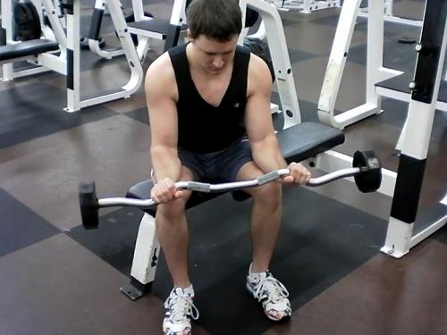 Reverse Wrist Curls (Barbell) Image