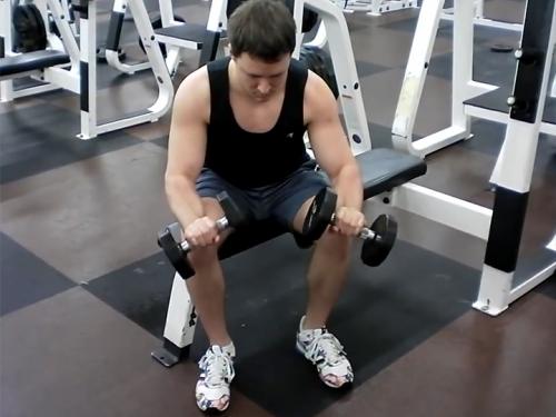 Reverse Wrist Curls (Dumbbell) Image