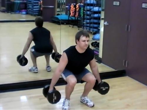 Squats (Dumbbell) Image