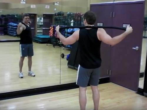 Standing Twists / Trunk Rotations (Barbell) Image