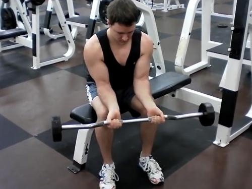 Wrist Curls (Barbell) Image