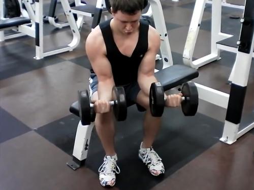Wrist Curls (Dumbbell) Image