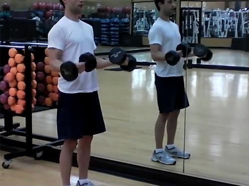 Wrist Rotations (Dumbbell)