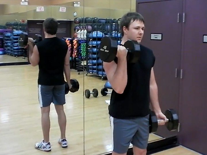 Curls (Dumbbell) Image