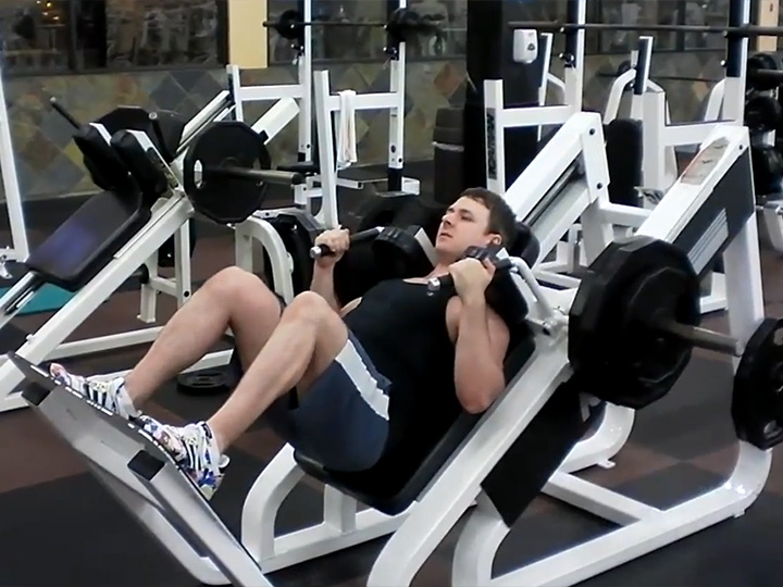 Hack Squats (Machine) Image