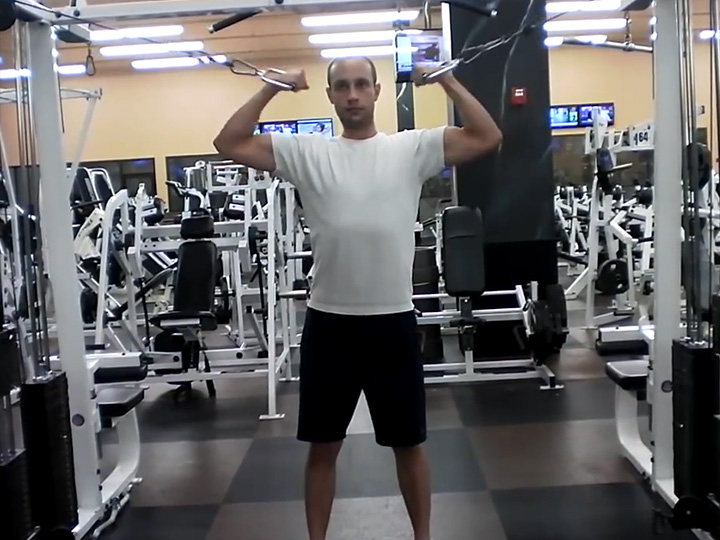 High Pulley Curls (Cable) Image