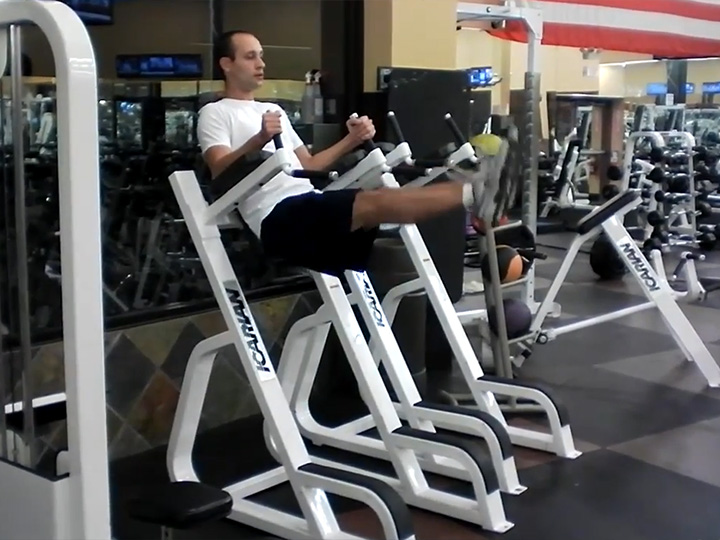 Leg Raises (Dip Machine) Image