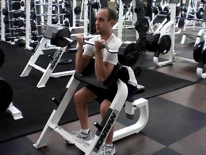 Preacher Curls (Barbell) Image