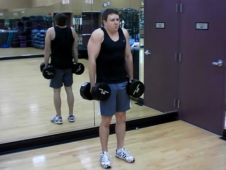 Shrugs (Dumbbell) Image