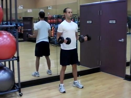 3-Part Curls / 21s (Dumbbell) Image