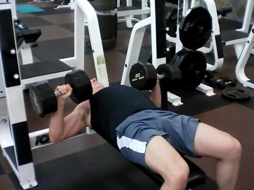Bench Press Dumbbell Image