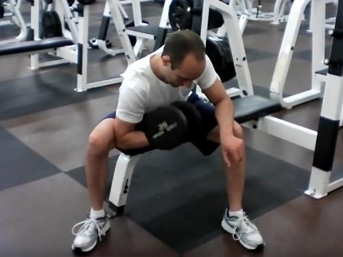 Concentration Curls (Dumbbell) Image