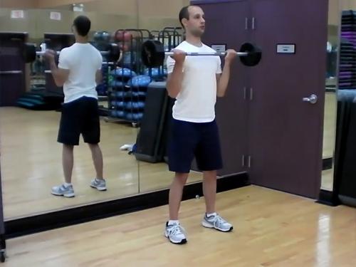 Curls (Barbell) Image