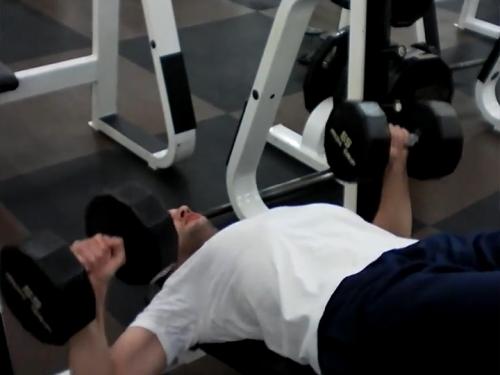 Decline Bench Press (Dumbbell) Image