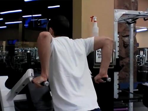 Dips (Dip Machine) Image