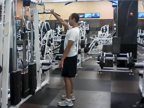 Front Arm Raises (Cable) Image