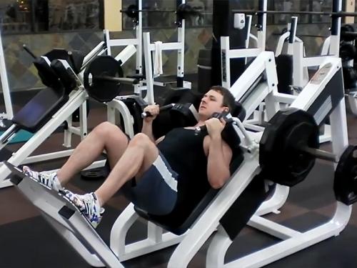 Hack Squats (Machine) Image
