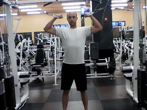 High Pulley Curls (Cable) Image