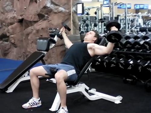 Incline Flys Dumbbell Image