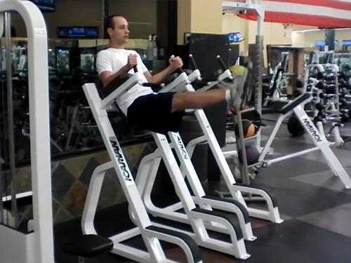 Leg Raises (Dip Machine) Image