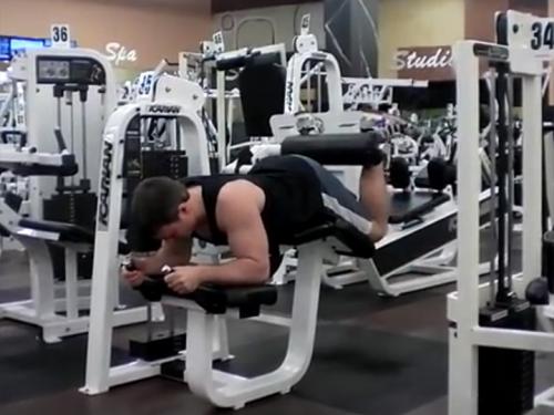 Lying Leg Curls (Machine) Image
