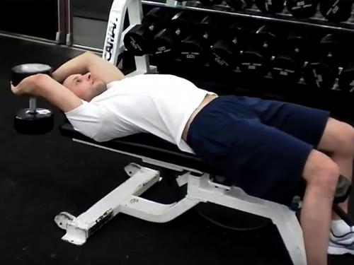 Pullovers (Dumbbell) Image