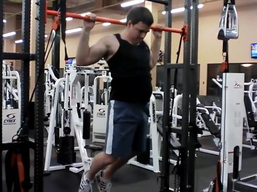 Rear Pull-Ups (Calisthenics) Image