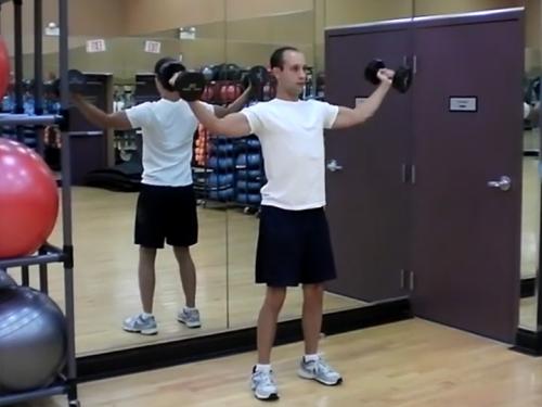Reverse Overhead Laterals (Dumbbell) Image