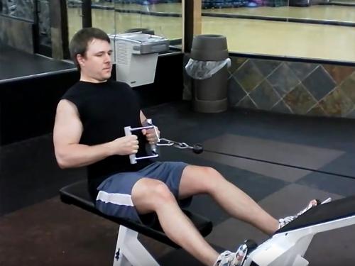 Seated Rows Image