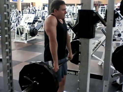 Shrugs (Barbell) Image