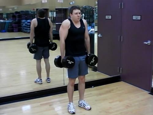 Shrugs (Dumbbell) Image
