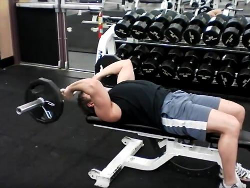 Skull Crushers / Lying Triceps Extensions (Barbell) Image