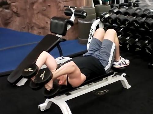 Skull Crushers / Lying Triceps Extensions (Dumbbell) Image