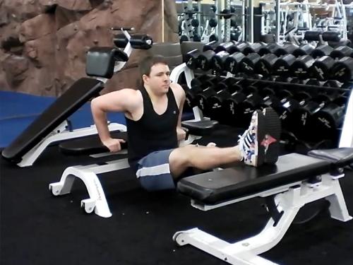 Triceps Dips / Bench Dips (Calisthenics) Image