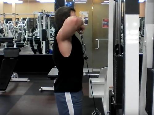 Upright Rows (Cable) Image